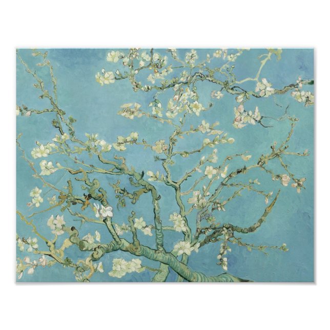 Vincent van Gogh - Almond Blossom Photo Print (Front)