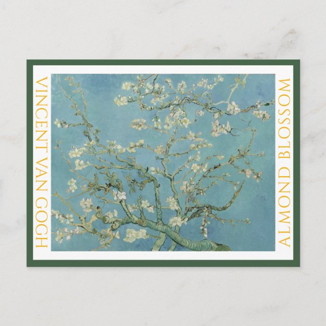 VINCENT VAN GOGH ... ALMOND BLOSSOM ... Postcard (Front)