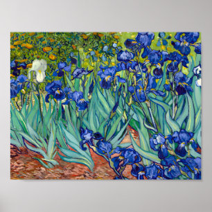 Vincent Van Gogh art Poster