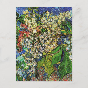 Vincent van Gogh-Blooming chestnut branches Postcard