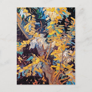 Vincent Van Gogh - Blossoming Acacia Branches Postcard