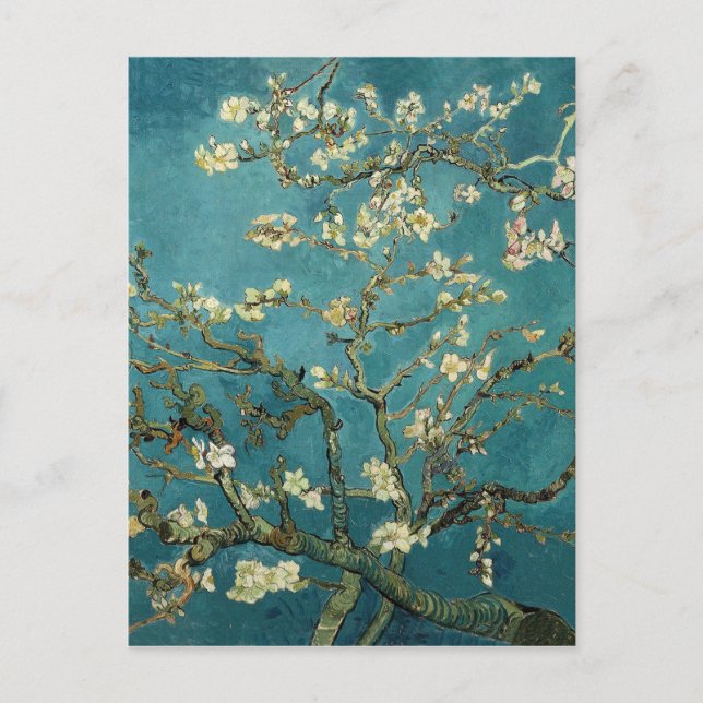 Vincent Van Gogh -  Blossoming Almond Tree Postcard (Front)