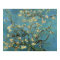 Vincent van Gogh Branches with Almond Blossom