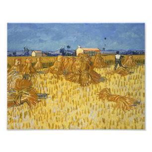Vincent van Gogh - Corn Harvest in Provence Photo Print