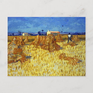 Vincent van Gogh Corn Harvest in Provence Postcard