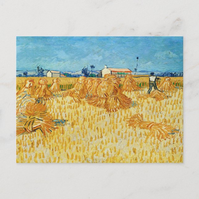 Vincent Van Gogh, Corn Harvest in Provence Postcard (Front)