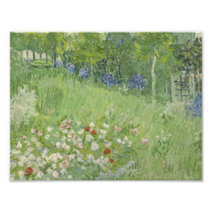 Vincent van Gogh - Daubigny's Garden Photo Print