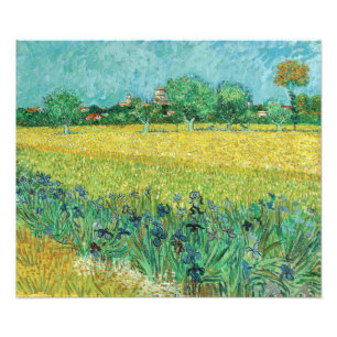 Vincent van Gogh - Field with Irises near Arles Photo Print