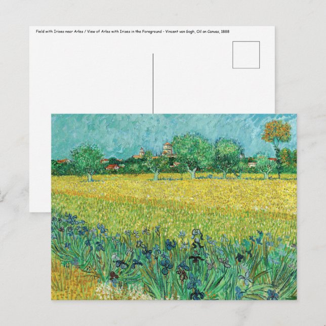 Vincent van Gogh - Field with Irises near Arles Postcard (Front/Back)
