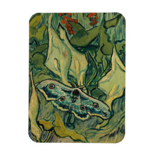 Vincent van Gogh - Giant Peacock Moth Magnet