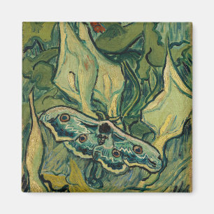 Vincent van Gogh - Giant Peacock Moth Magnet