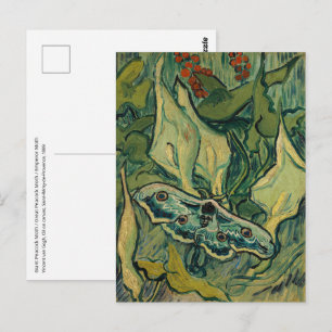 Vincent van Gogh - Giant Peacock Moth Postcard