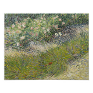 Vincent van Gogh - Grass and Butterflies Photo Print