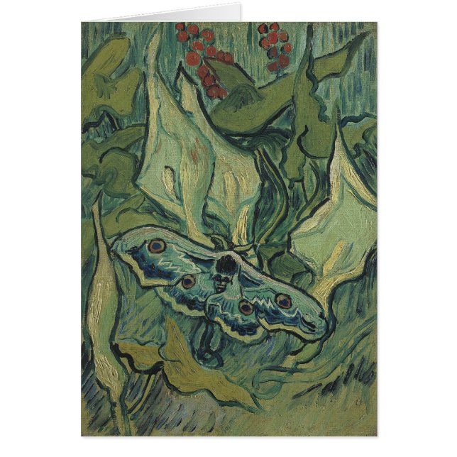 Vincent van Gogh - Great Peacock Moth (Front)