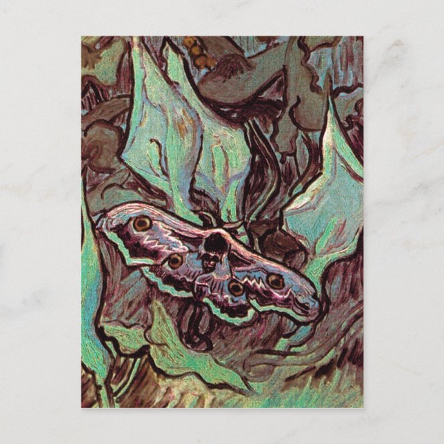 Vincent Van Gogh - Great Peacock Moth Fine Art Postcard (Front)
