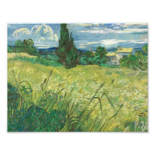 Vincent van Gogh - Green Field Photo Print