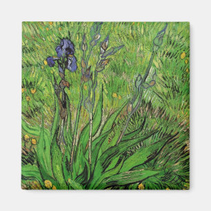 Vincent van Gogh - Iris Magnet