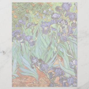 Vincent van Gogh - Irises