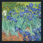 Vincent Van Gogh - Irises 1889 Photo Print<br><div class="desc">Vincent Van Gogh - Irises 1889</div>