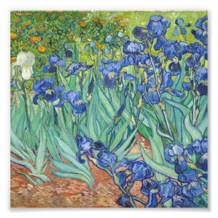 Vincent Van Gogh - Irises 1889 Photo Print