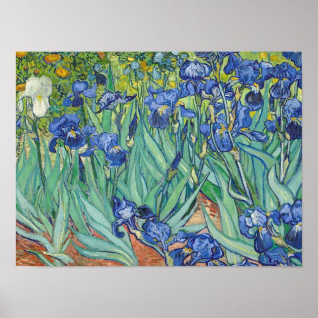 Vincent Van Gogh - Irises 1889 Poster (Front)