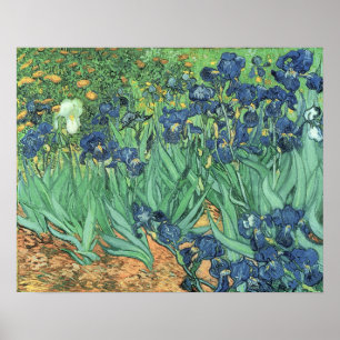 Vincent van Gogh   Irises, 1889 Poster