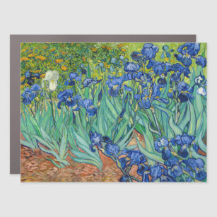 Vincent Van Gogh - Irises Car Magnet