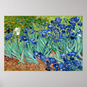 Vincent van Gogh - Irises - Famous Art Poster