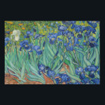 Vincent Van Gogh - Irises Faux Canvas Print<br><div class="desc">Irises / Iris - Vincent Van Gogh,  1889</div>
