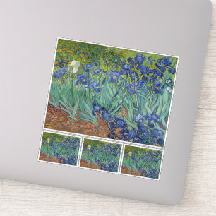 Vincent Van Gogh, Irises, Les Iris