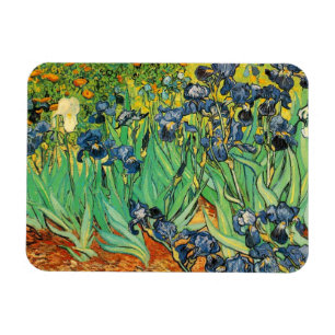 Vincent van Gogh,Irises Magnet