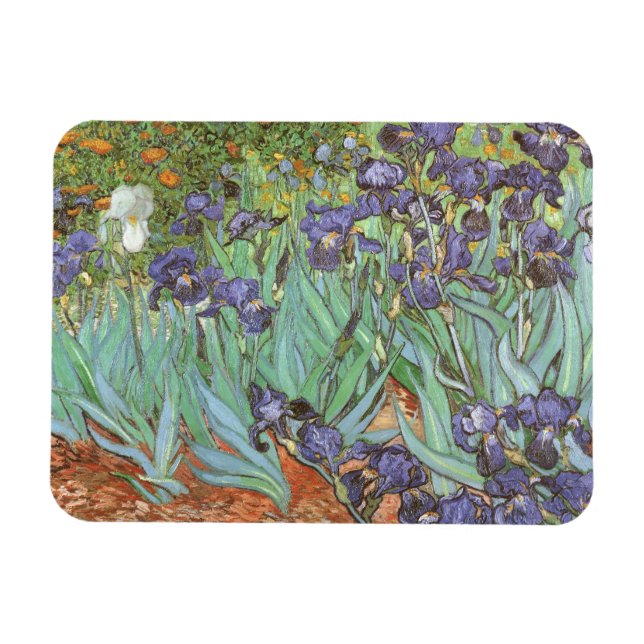 Vincent van Gogh - Irises Magnet (Horizontal)
