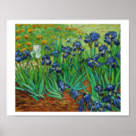 Vincent Van Gogh Irises Painting Canvas Print<br><div class="desc">Vincent Van Gogh Iris Painting</div>