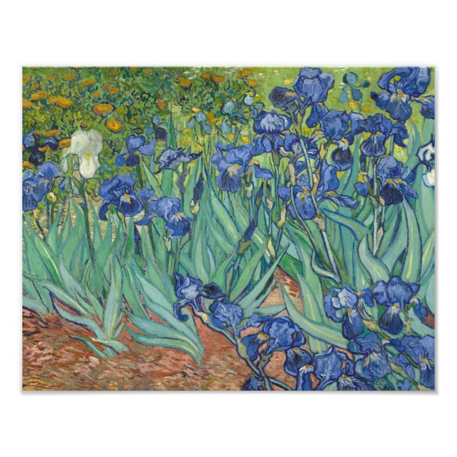 Vincent van Gogh - Irises Photo Print (Front)
