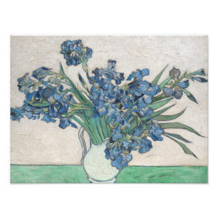 Vincent van Gogh - Irises Photo Print