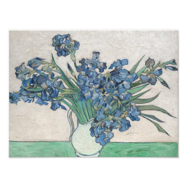 Vincent van Gogh - Irises Photo Print (Front)