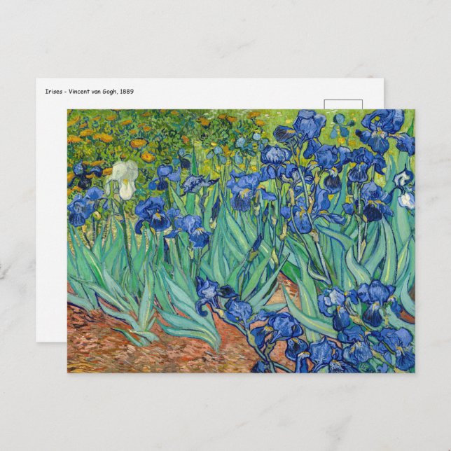 Vincent Van Gogh - Irises Postcard (Front/Back)