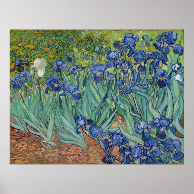 Vincent Van Gogh Irises Poster (Front)