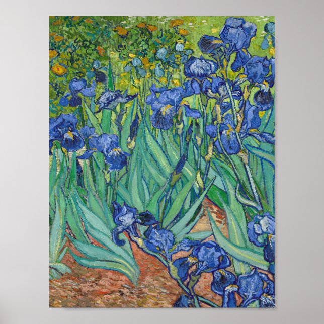 Vincent Van Gogh - Irises Poster (Front)