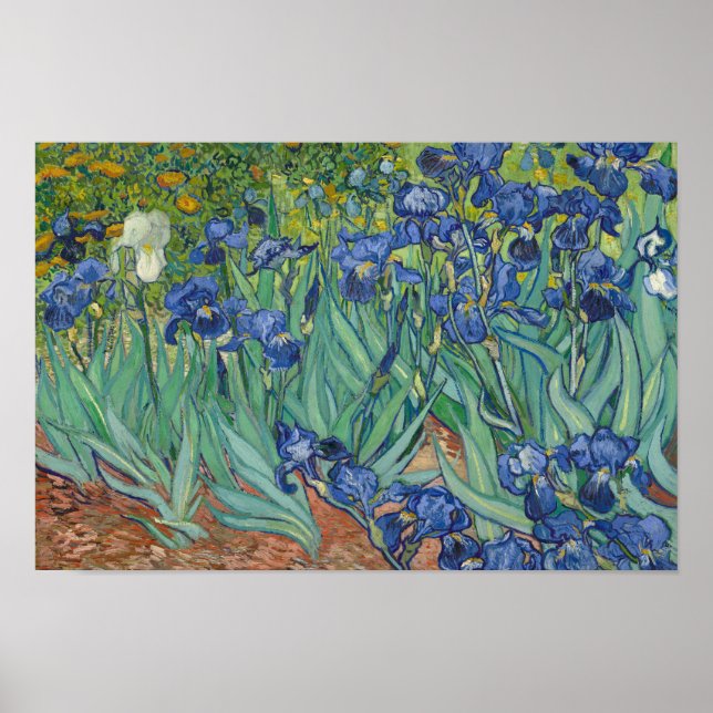 Vincent van Gogh - Irises Poster (Front)
