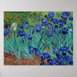 Vincent Van Gogh Irises Vibrant Flower Fine Art Poster<br><div class="desc">Vincent Van Gogh Irises Vibrant Flower Fine Art</div>