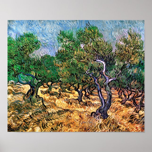 Vincent Van Gogh - Olive Grove Fine Art Poster (Front)