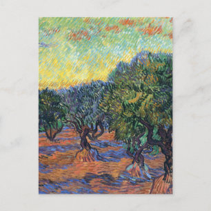 Vincent Van Gogh Olive Grove Impressionism Art Postcard