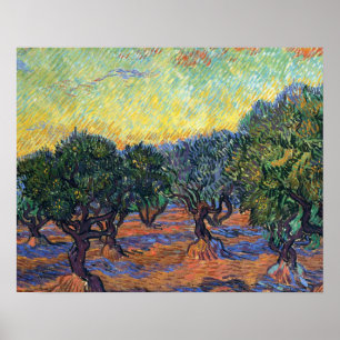 Vincent Van Gogh Olive Grove Impressionism Art Poster