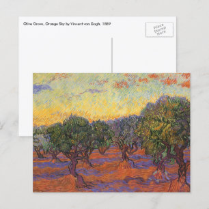 Vincent van Gogh - Olive Grove, Orange Sky Postcard