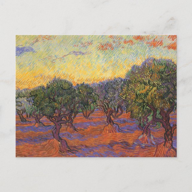 Vincent van Gogh - Olive Grove, Orange Sky Postcard (Front)