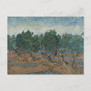 Vincent van Gogh - Olive Grove Postcard