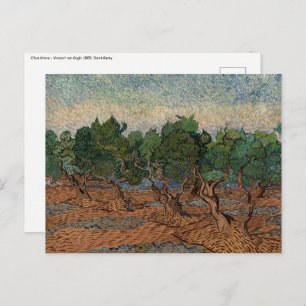 Vincent van Gogh - Olive Grove Postcard