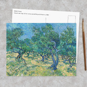 Vincent van Gogh - Olive Grove Postcard