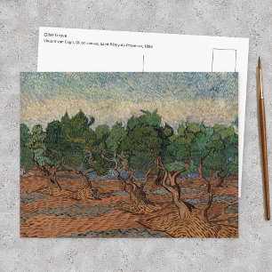 Vincent van Gogh - Olive Grove Postcard
